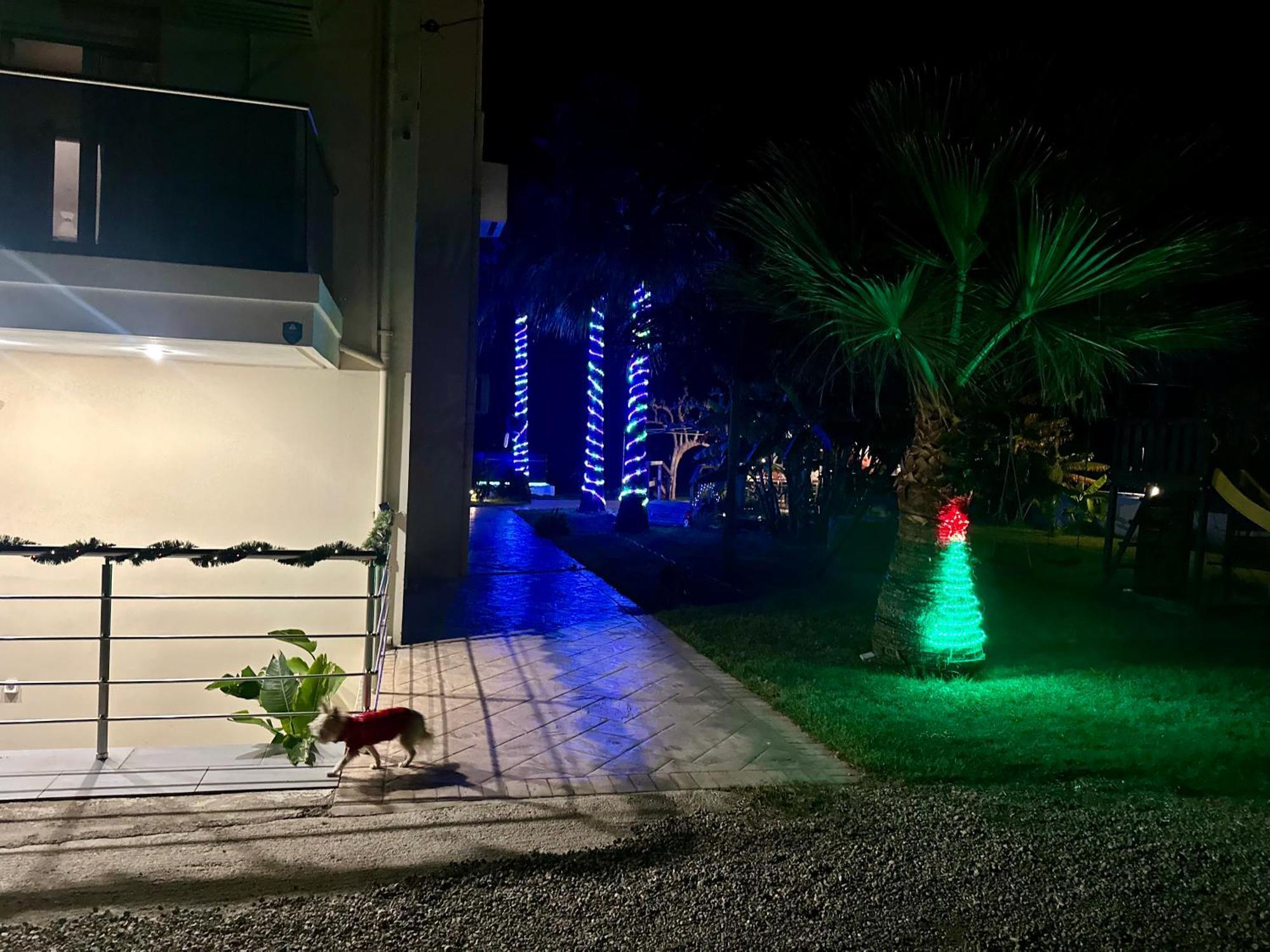 Martimi Apartments - 200M From Drapanias Beach - Pool - Hot Tub - Sauna - Bbq Kissamos Exterior photo